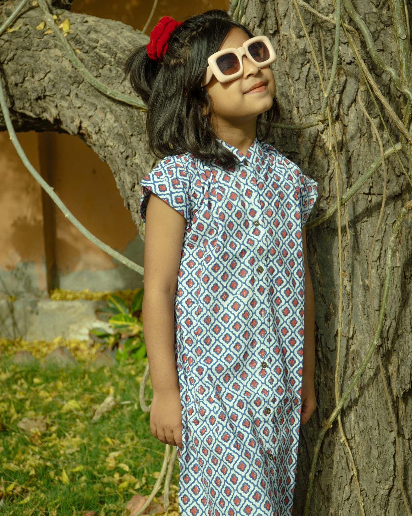 Redberry Shirt Dress
