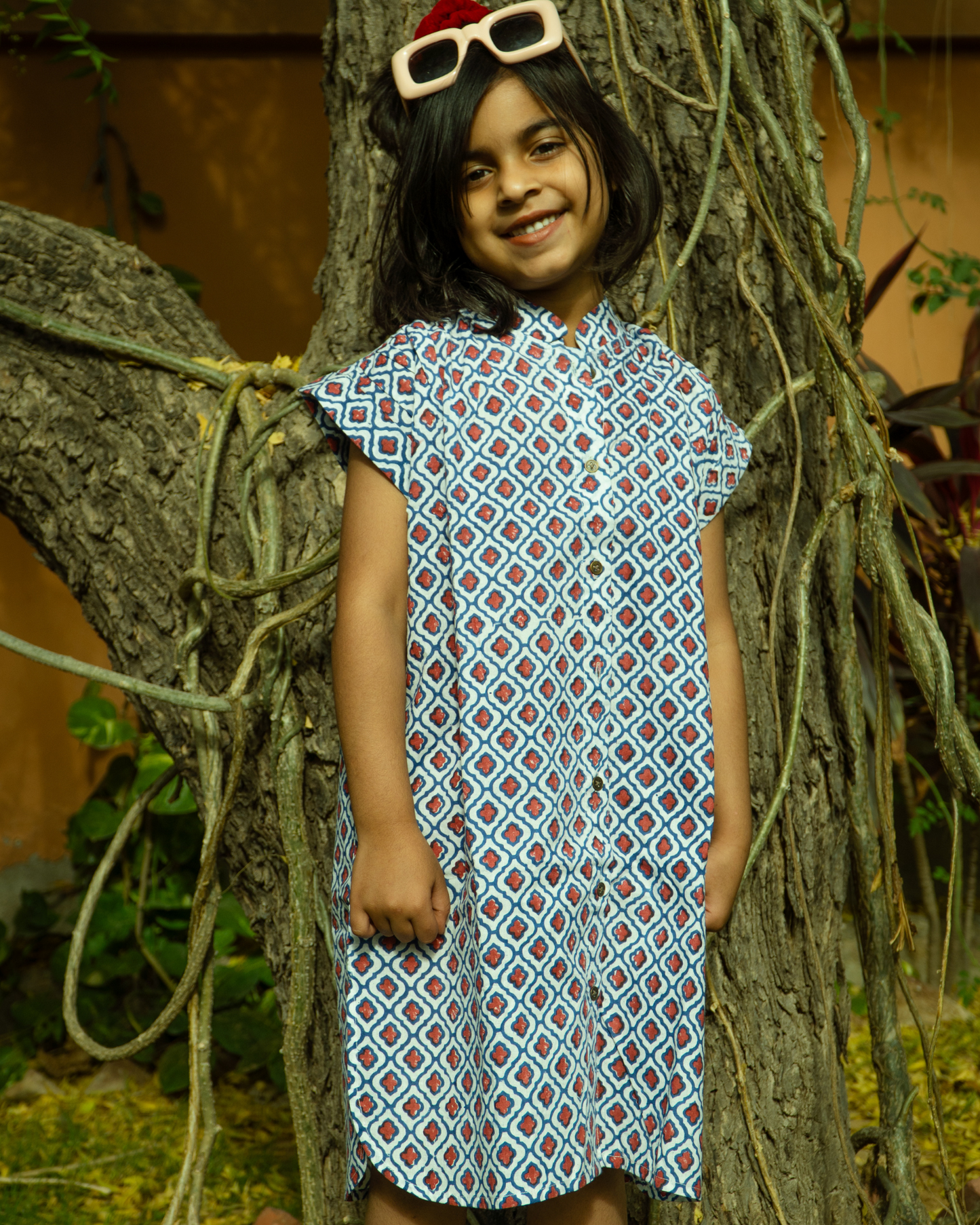 Redberry Shirt Dress