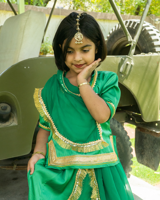 Emerald Rajputi Clothing Set