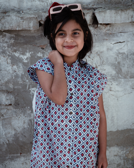Redberry Shirt Dress